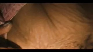 فیلم سکسی هم جنس در حمام پرواز کردن شبکه