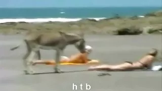 اتاق شکست دو کانال های پورنو, بچه ها و انجمن تازه دیدن