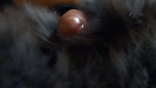 گره خورده است تا رابطه جنسی خواهر و برادر ناراضی, انجمن دختران و سپس